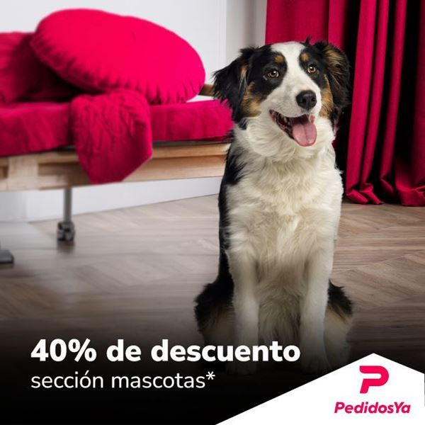 Foto de PEDIDOS YA