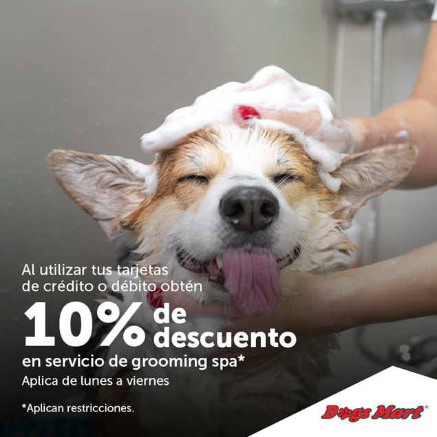 Foto de 10% de descuento en servicio de grooming spa en Dogs Mart.