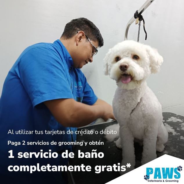 Foto de Baño gratis al pagar 2 servicios de grooming en Paws.