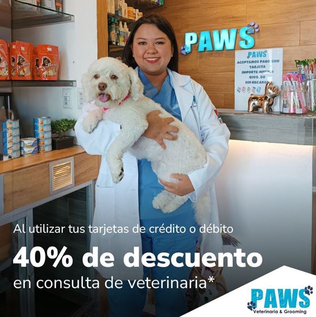 Foto de 40% de descuento por  consulta de veterinaria en Paws.