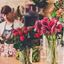 Foto de Floristerías