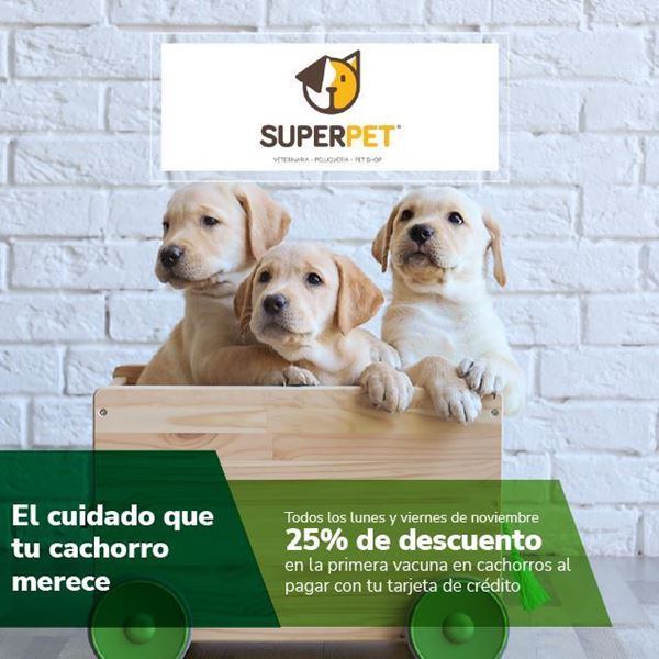 Foto de Super pet