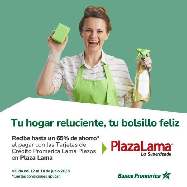 Foto de Lama Plazos